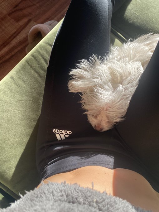 A nap in someone&rsquo;s crotch sounds tempting 😉 https://t.co/mNs1nU3MQ8<a href="/tag/loveyourself"class="tags"><span>#loveyourself</span></a>