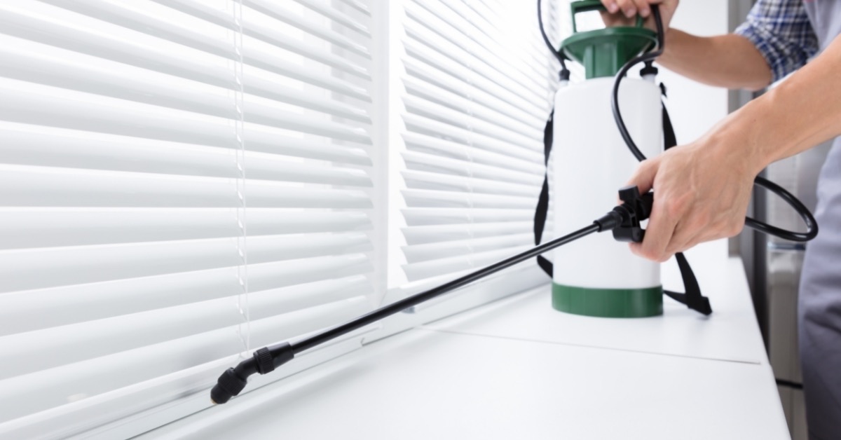 LegacyPestUT's tweet photo. We provide residential and commercial pest control services that are designed to keep your family safe and your property protected. We use eco-friendly products and practices to ensure the health and safety of our customers.

Click here to read our FAQS and get started today! ... https://t.co/faXxknaI8R