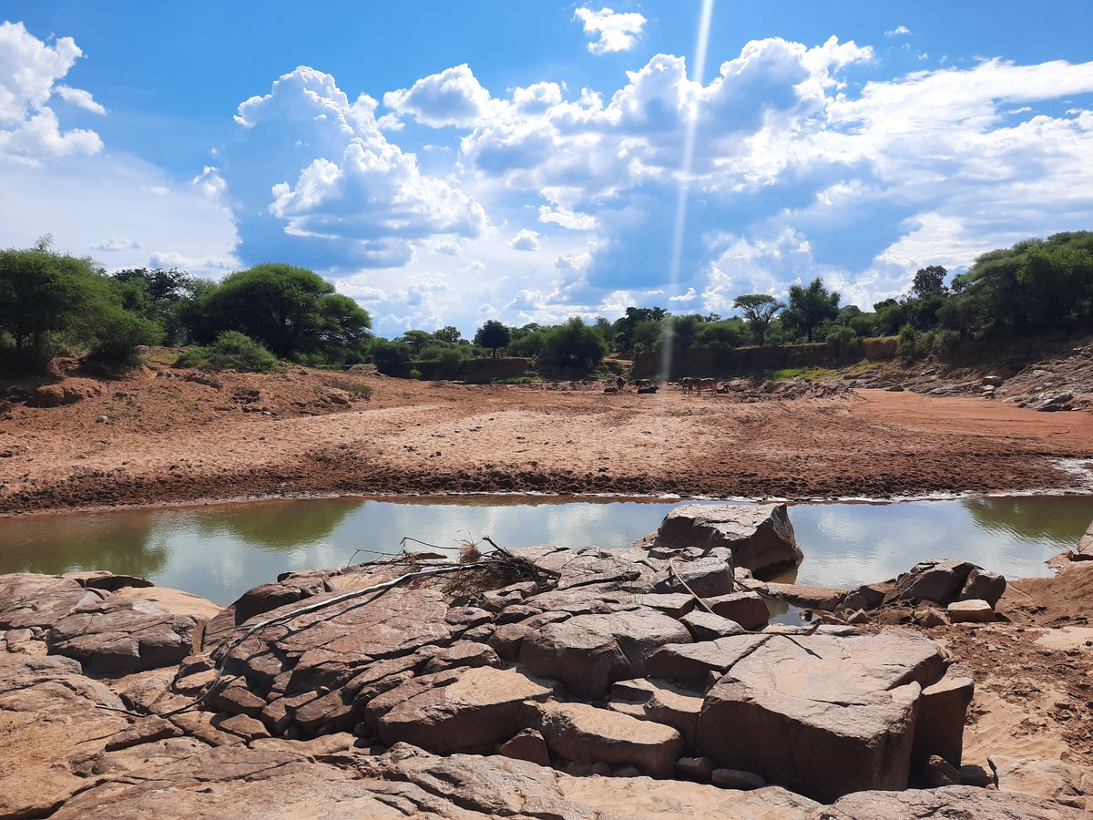 MagdalenaSmigaj's tweet photo. We also heard of increases in cases of #malaria 🦟 and #cholera from stagnant pits of water, and of the loss of riparian vegetation🌳 and bird species🐦 that relied on it. Beaurocracy and ineffective monitoring &amp; sanctioning stand in the way of improving the situation. https://t.co/XsGkTiT3U6