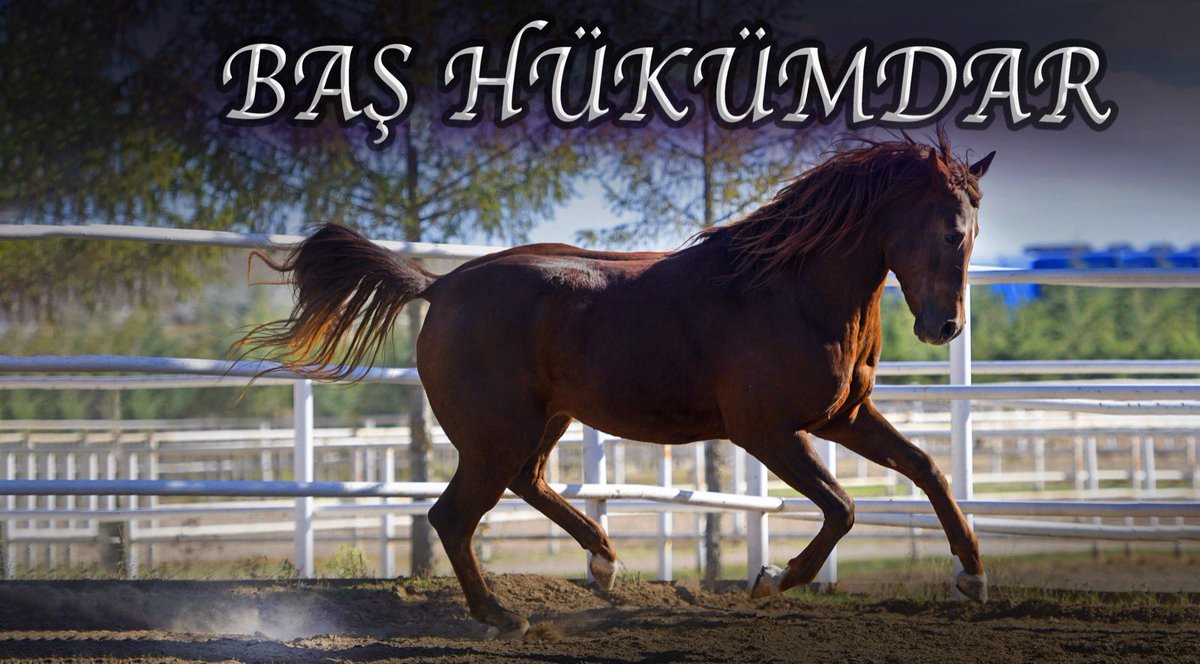 Baş Hükümdar Yalnızca 15.000₺ Aşım Bedeli ile TJK Mahmudiye Pansiyon Hara da Kısraklarınızı Bekliyor. Ücretsiz,Eşleşme Uyum Analizi İçin Dm’den İrtibata Geçebilirsiniz.