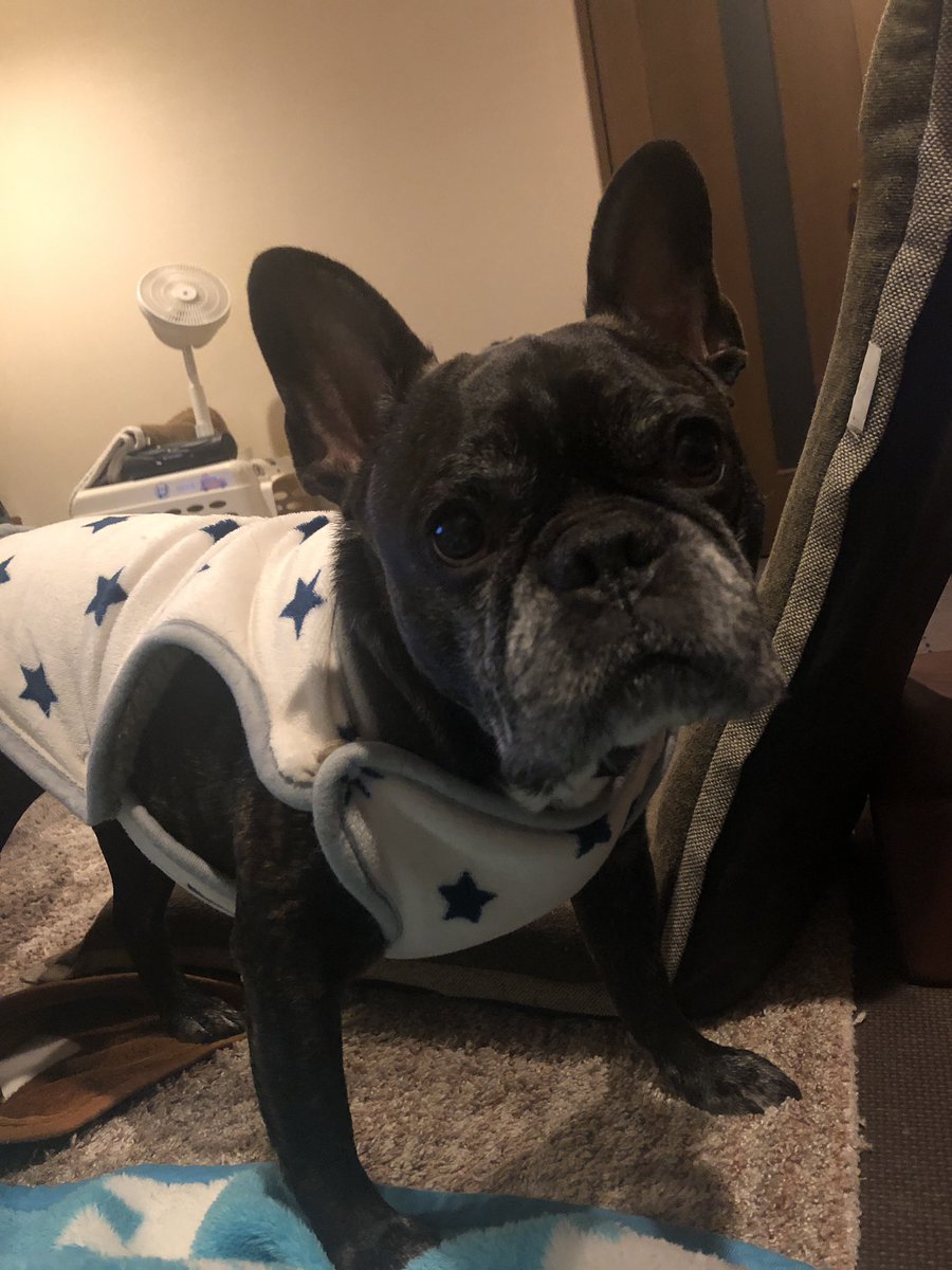 Misya28's tweet image. 電気代高っ💦
去年の同月比100kWhも節約してるのに¥10,000も高い😰
4月からさらに値上がりって💢