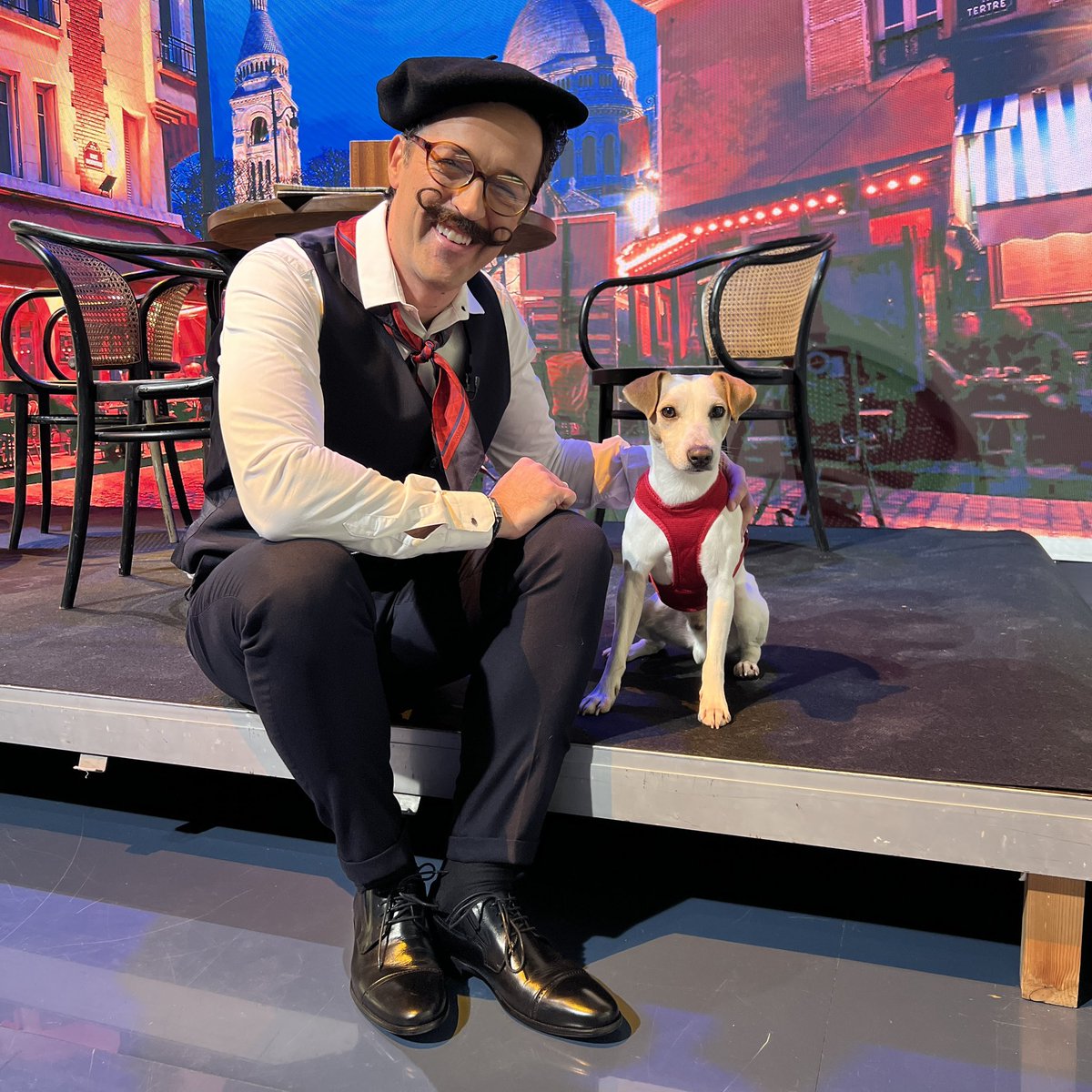 pipperontour's tweet photo. Ayer estuve con mis amigos de @aquilatierratve 🐕 Casi le robo el perfume de trufa a @jacobpetrus_tve 😜 Gracias a todo el equipo por mimarme 😇 https://t.co/y6CZnT5y4i