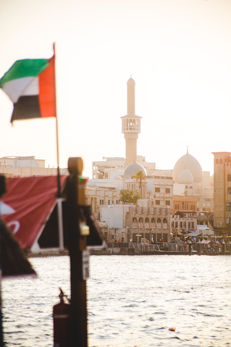 Sights Of Sara tweet media