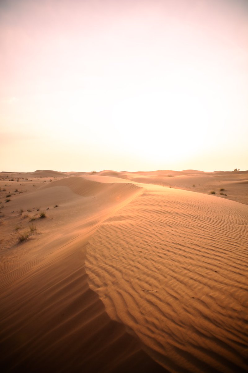 Sights Of Sara tweet media