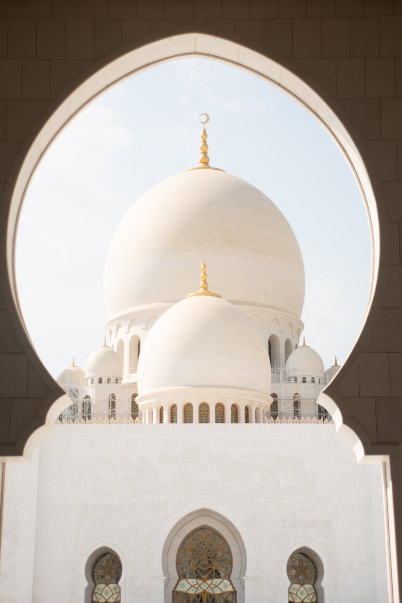 Sights Of Sara tweet media