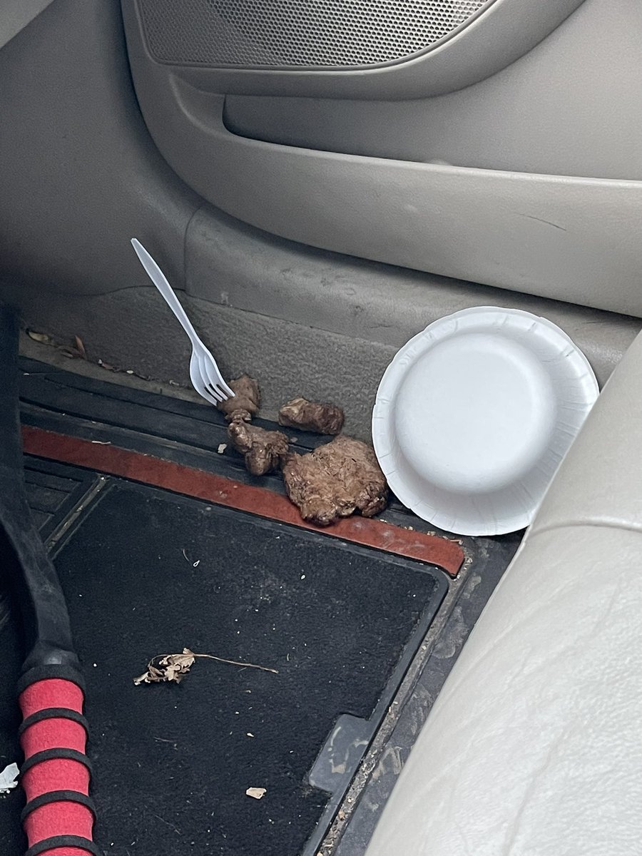 How my day is going so far :c