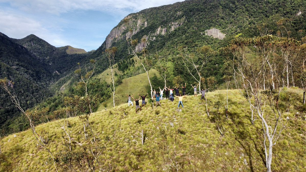 DrBukkabwoi's tweet photo. Misty mountains… https://t.co/yGgOdlbkxN