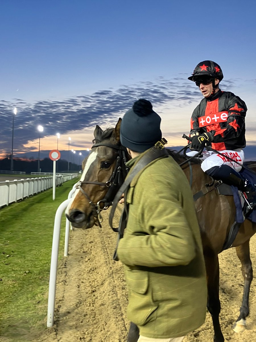 NewstartRacing's tweet photo. Great result, 2nd/12 @WolvesRaces with this guy #CaptainStLucifer! 
Travelled sweetly in 3rd with good cover, battled on like a tough dude he is in the final furlong to pick up 2nd place! Great ride by #jackmitchell. Thanx 4 all the support &amp; assistance from all involved! 🏇🥂👌 https://t.co/JWGavW6BH6