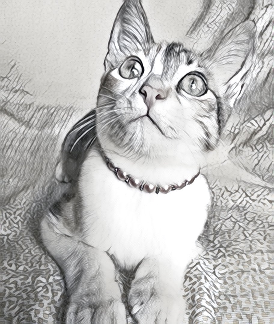 redbubble.com/people/Catuniv…