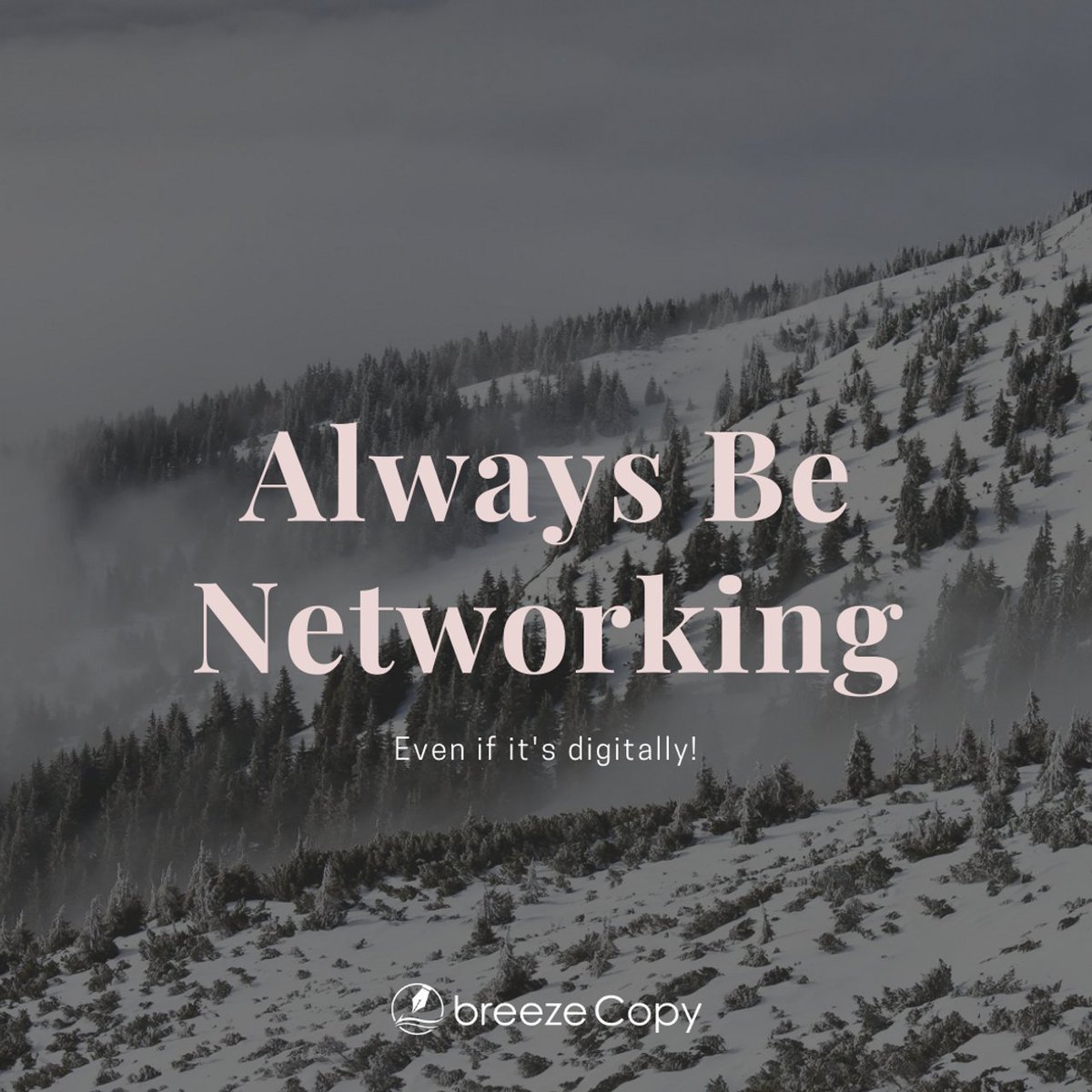 BreezeCopy's tweet photo. Networking isn't what it used to be, but that's no excuse to stray away from this crucial activity!
#networking #virtualnetworking #marketing #contentmarketing #marketingtips #business #alwaysbenetworking https://t.co/HAcvH1roKh
