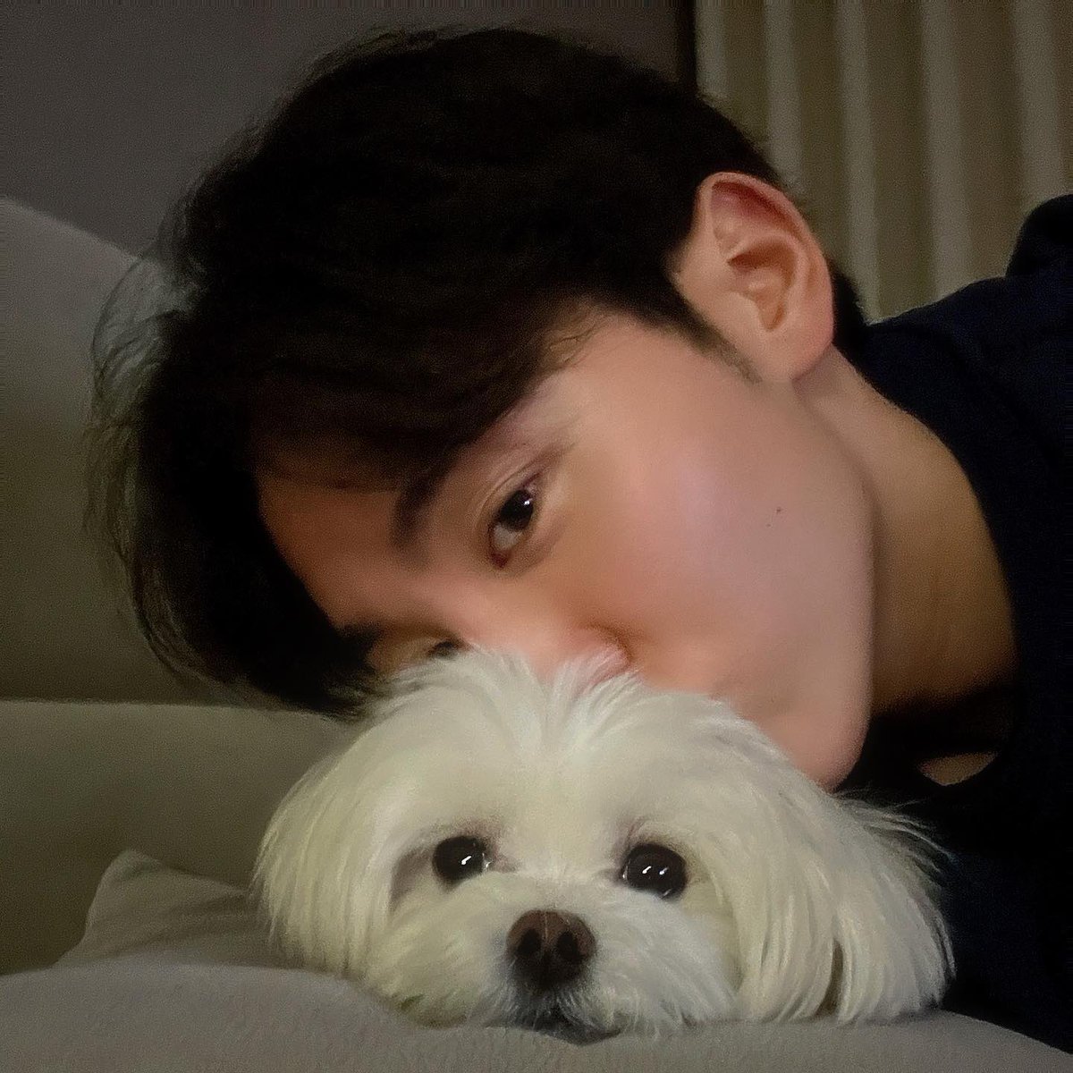 부끄가 둘...?! 🐾
