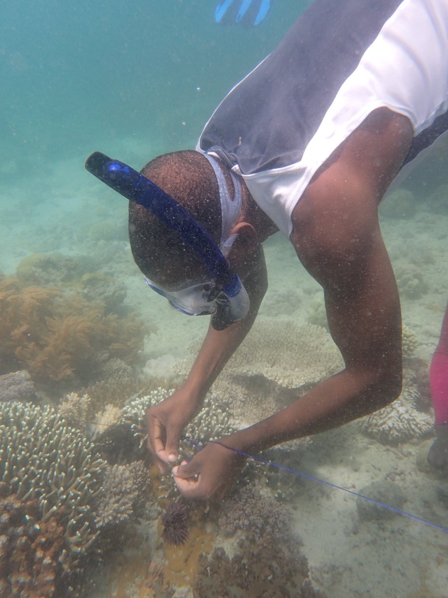 SMART Seas for MPAs tweet media