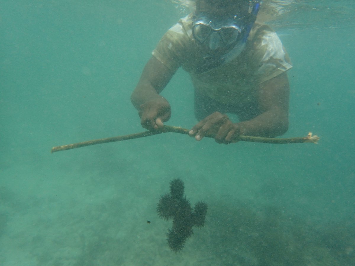 SMART Seas for MPAs tweet media