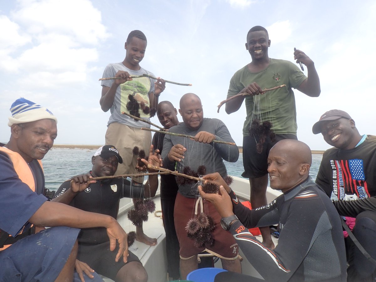 SMART Seas for MPAs tweet media