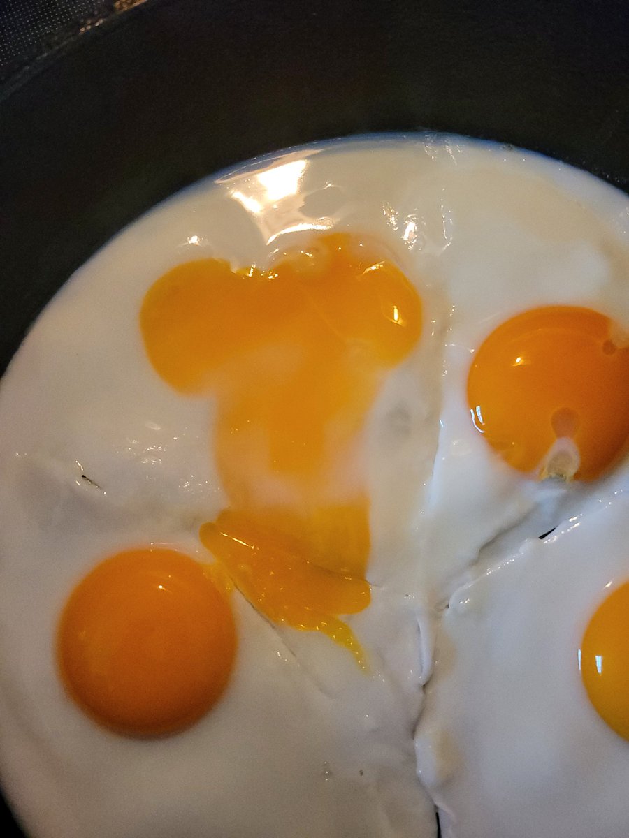 CombatPug's tweet photo. Cheeky egg... https://t.co/9LDMR631pK