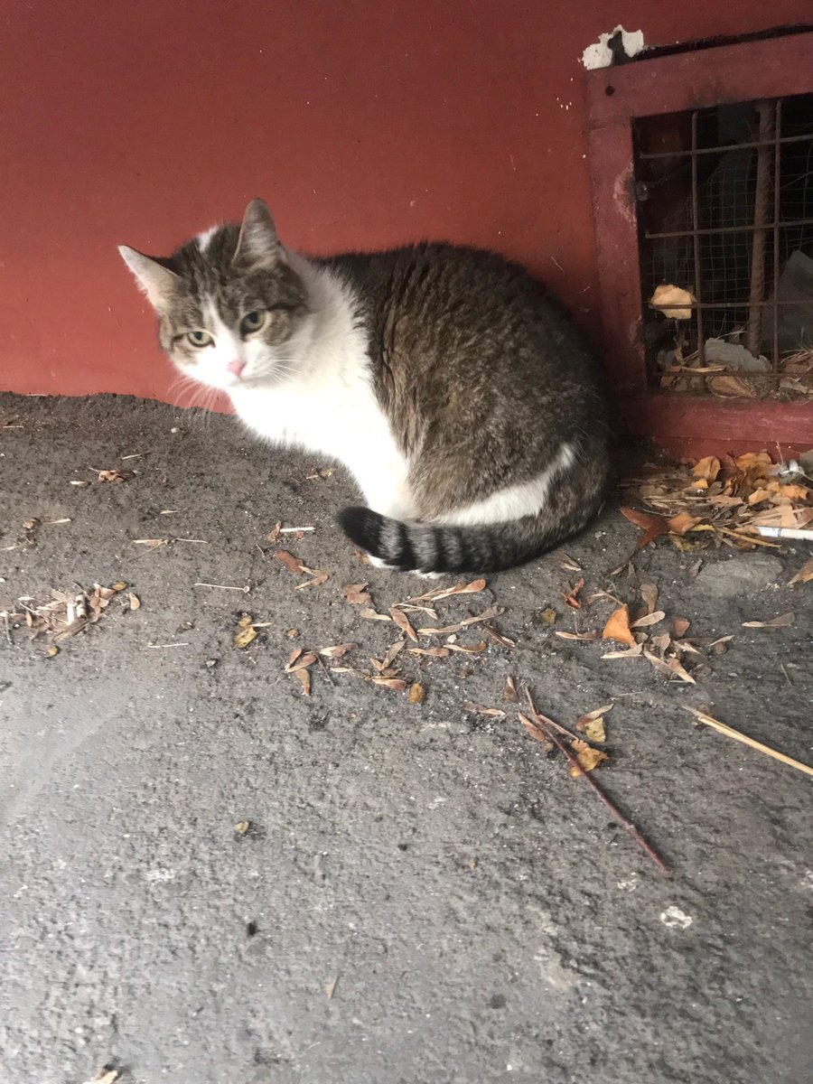 victoria the terrible. Ⱈⱆⰻ ⰲⱁⰻⱀⰵ on Twitter: "RT @teacherrka: Москва ...