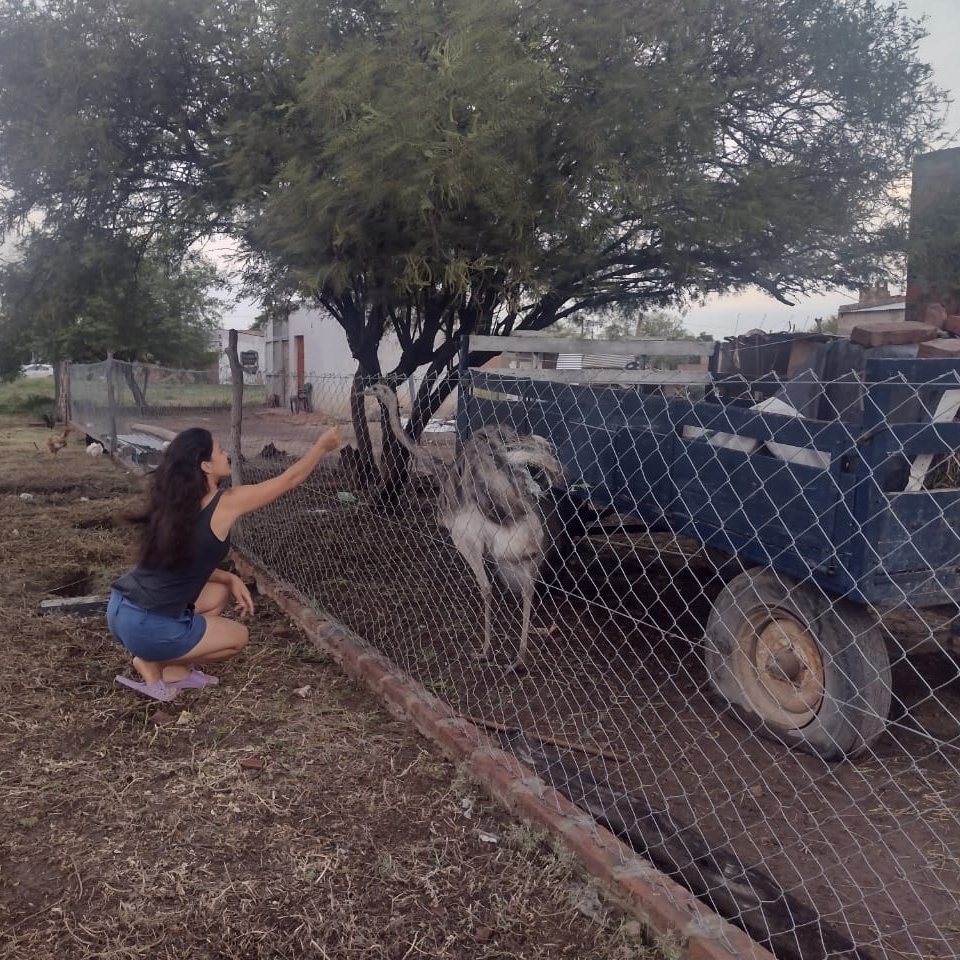 AlterMundi.net tweet media