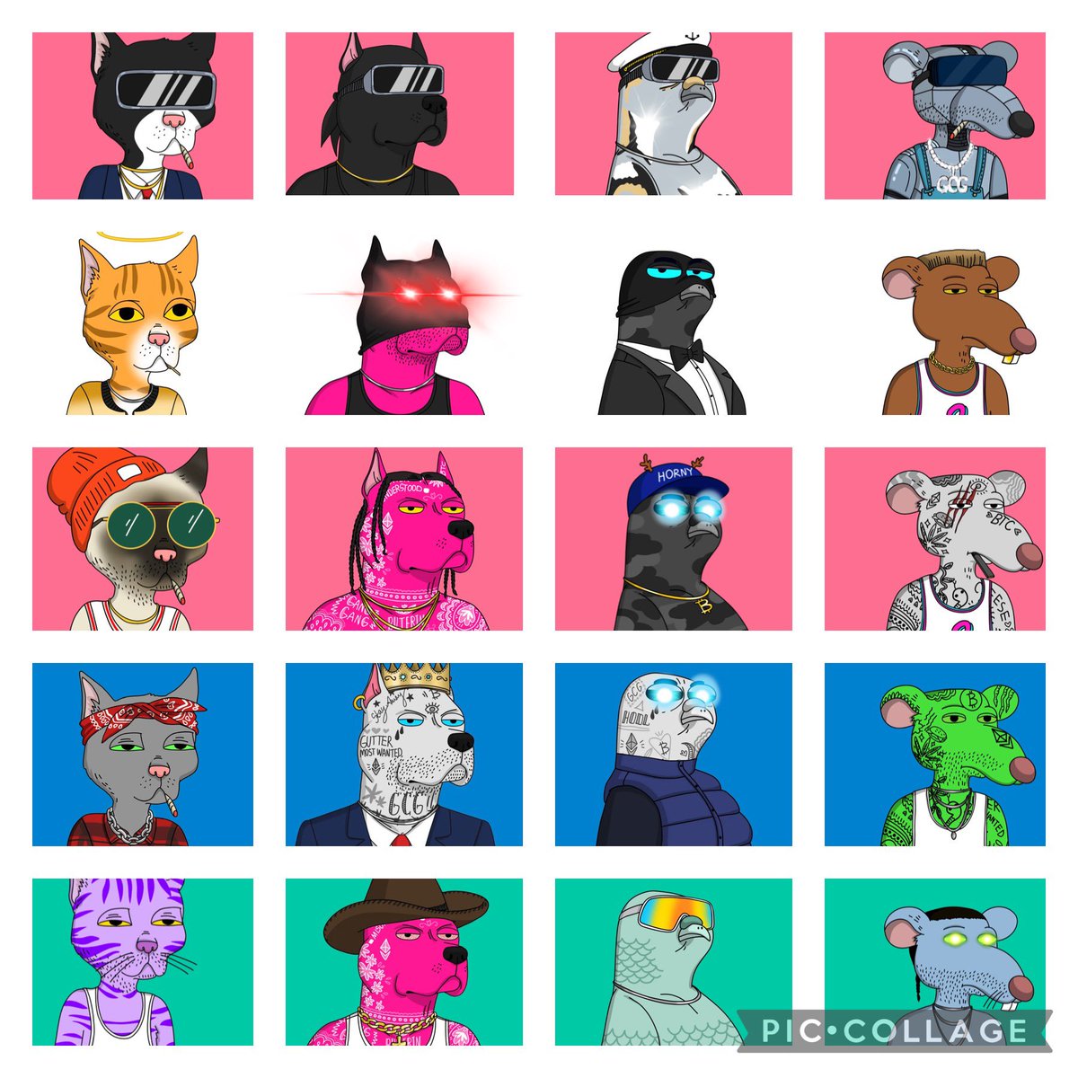 Slim4President's tweet image. Seeing a lot of #GutterCatGang in my TL… nature is healing #GangGang  #keepitgutter