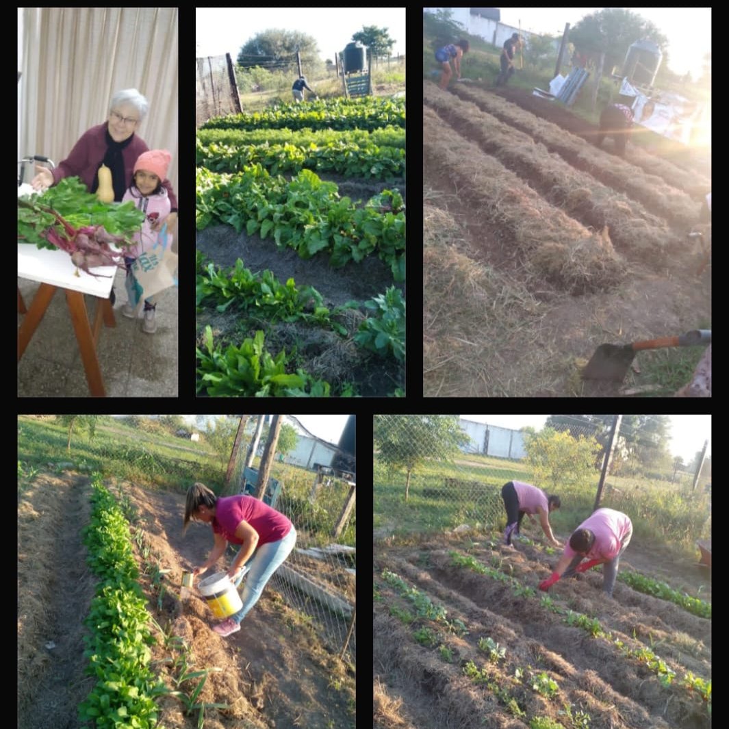 AlterMundi.net tweet media