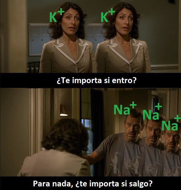 Bomba sodio-potasio be like: