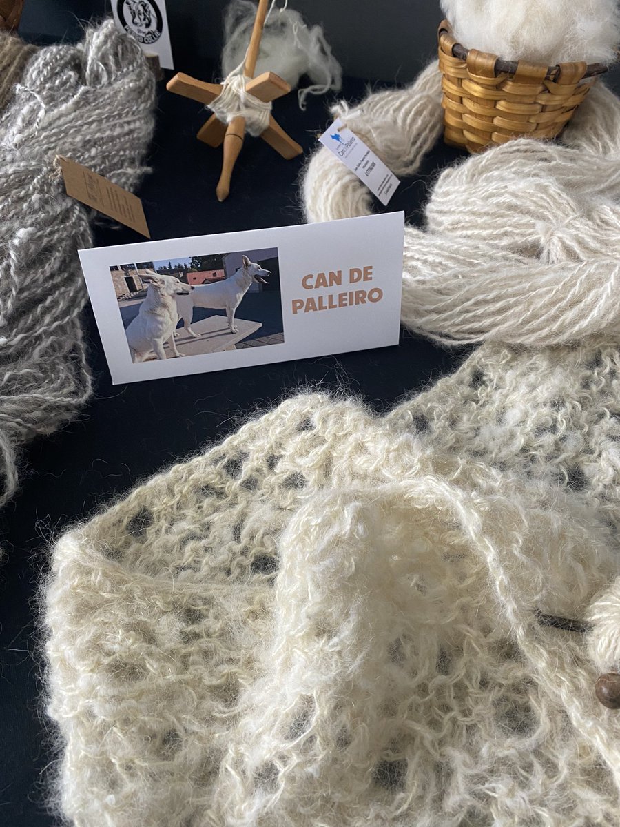 AiaLedo's tweet photo. ✨ Non sabedes o bonita que é a exposición que traballaron tanto Ana e Teté. Non poño máis fotos para que vós acheguedes ao Pazo da Cultura antes de que remate o 2 de febreiro #turisteanaron https://t.co/PMaqJaVqoB