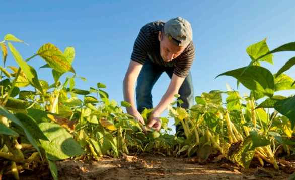 usdaFSA's tweet photo. Our microloan program can fit the unique financial needs of your small farming operation. Get the facts: https://t.co/xO128K7JIn https://t.co/UjcpGcK962