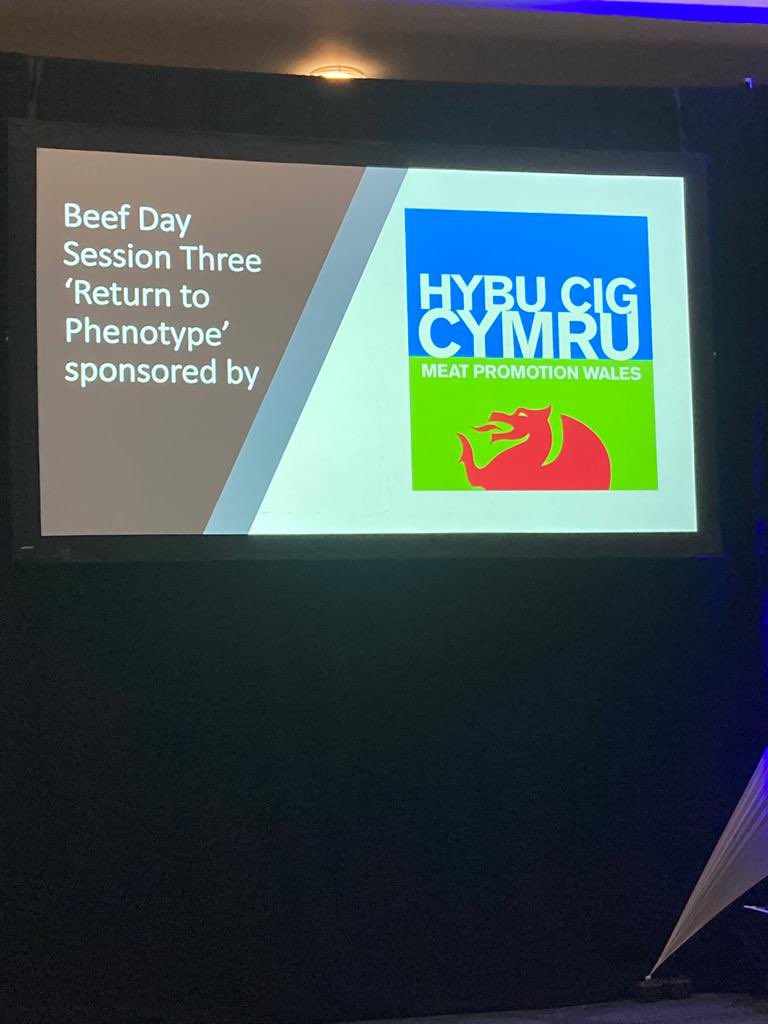 RMDPcymru's tweet photo. #stocplus vet Gareth Mulligan is sharing findings from the beef fertility project conducted as part of Stoc+ @CattleBreeders today. ๐๐ https://t.co/7QKri7miqD