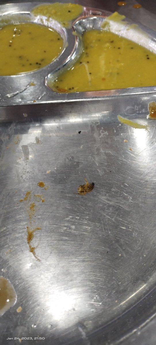 AniNormalition's tweet photo. good news: I ate
bad news: chewed roach https://t.co/bMofzbgRKT