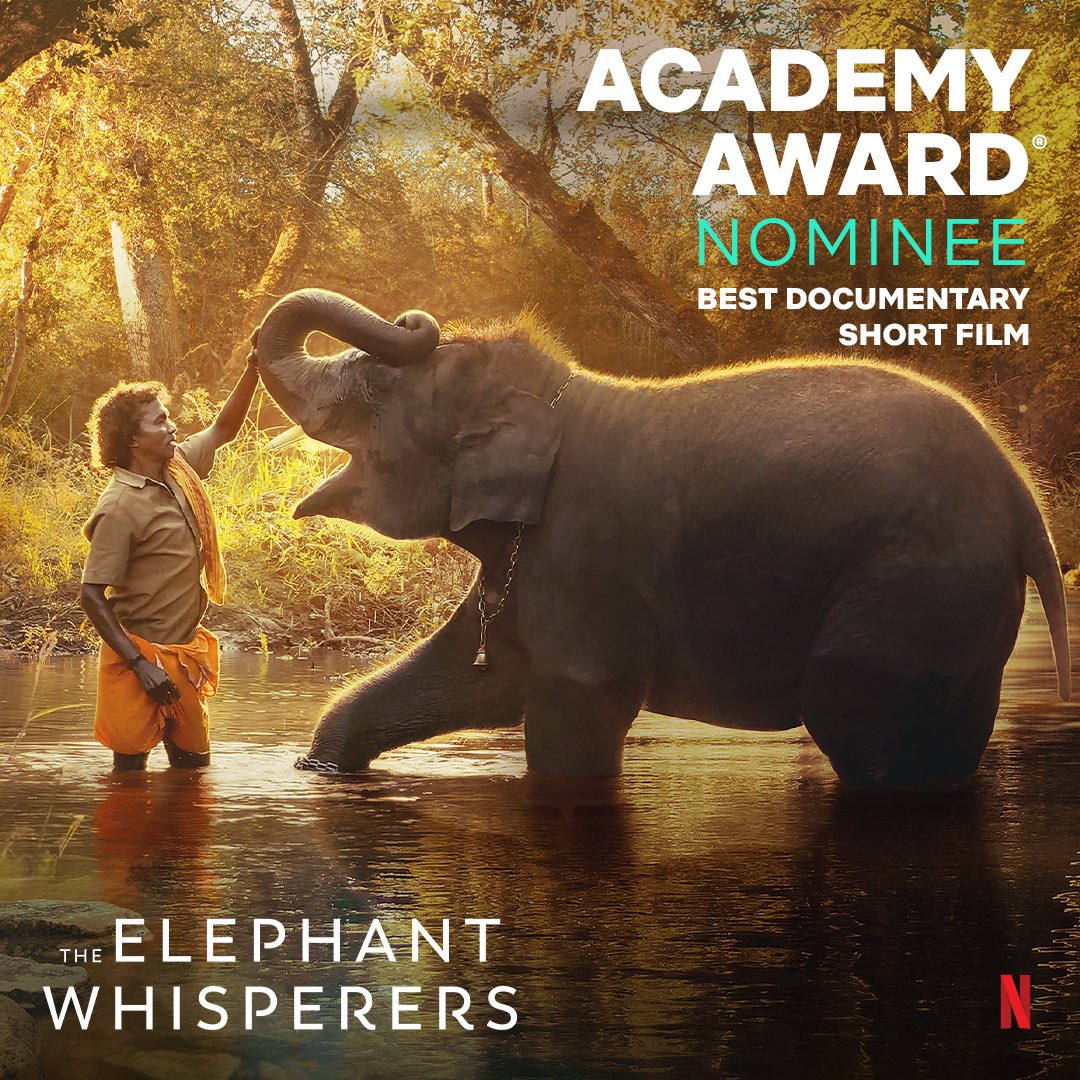 The Elephant Whisperers is nominated at the Oscars! 

This film is an ode to devotion and love..an ode to unconditional selfless love for the beautiful baby ellie Raghu who felt all the emotions like us humans but only two could hear his whispers - Bomman and Bellie.