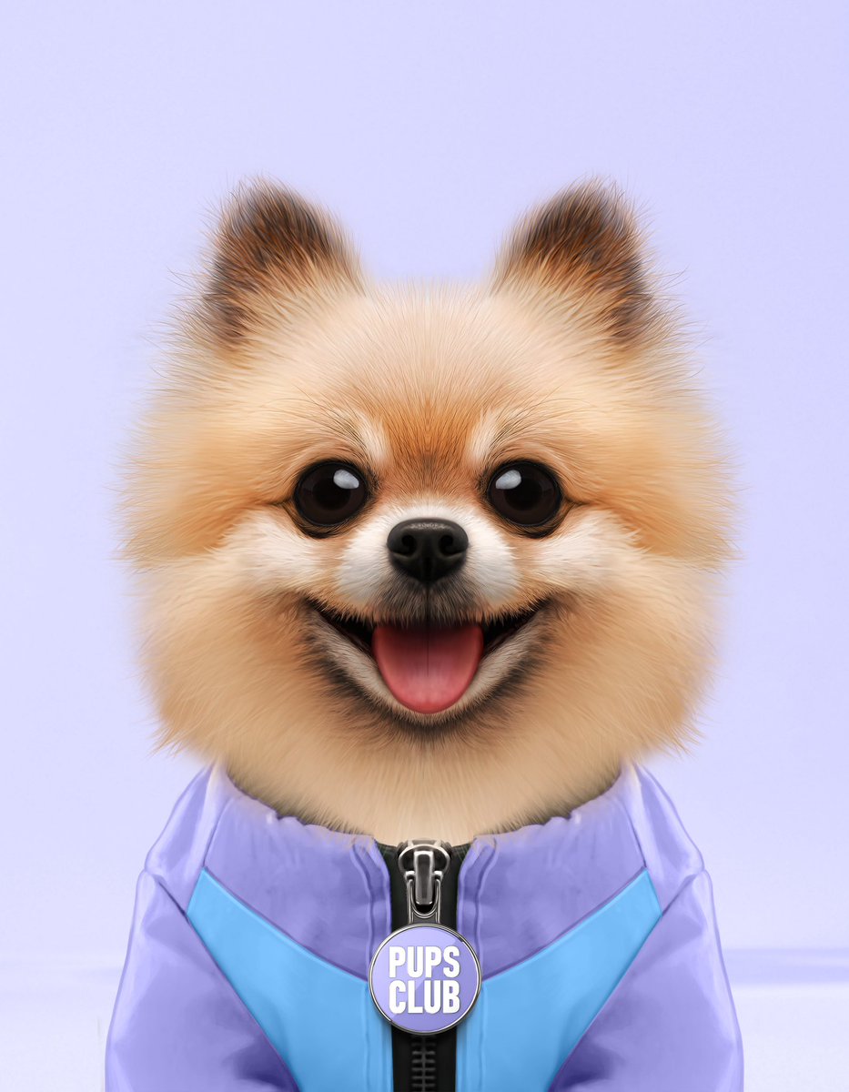 pupsclub's tweet photo. GM 👋🏻☀️🐶🐶🐶🐶 https://t.co/KeEMCsnQFV