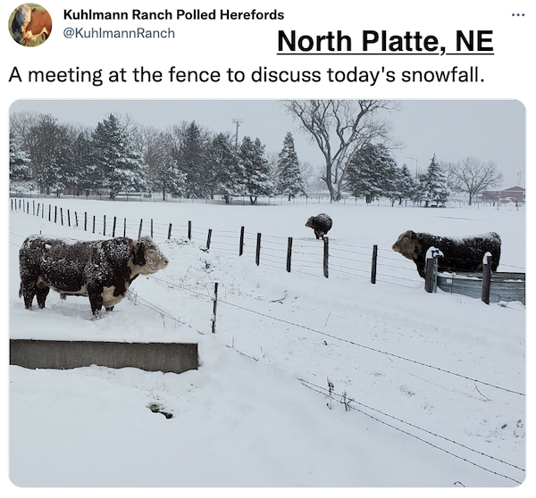 FarmTank tweet media