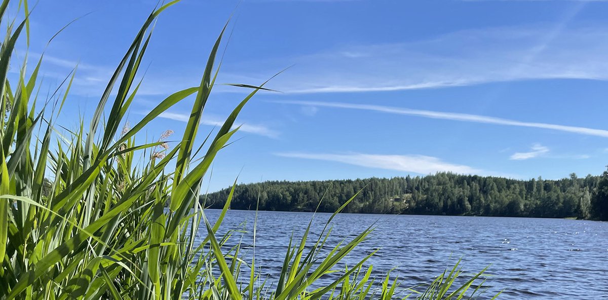 CSCfi's tweet image. CSC's Summer School in High-Performance Computing will be organized again in summer 2023 and the registration is now open. Read how the participants from the previous summer describe the experience and join us this summer: csc.fi/-/hpc-summer-s…