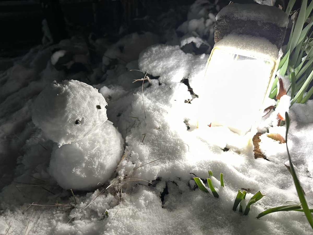 「雪だるまさん作った 」|岩本塚のイラスト
