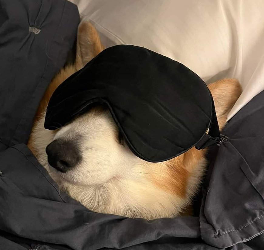 Anthropolegiste's tweet photo. "J'ai d'énormes troubles du sommeil sans mon zopiclone"

Le patient en question de 23h à 8h : https://t.co/rHUXRNMgQR