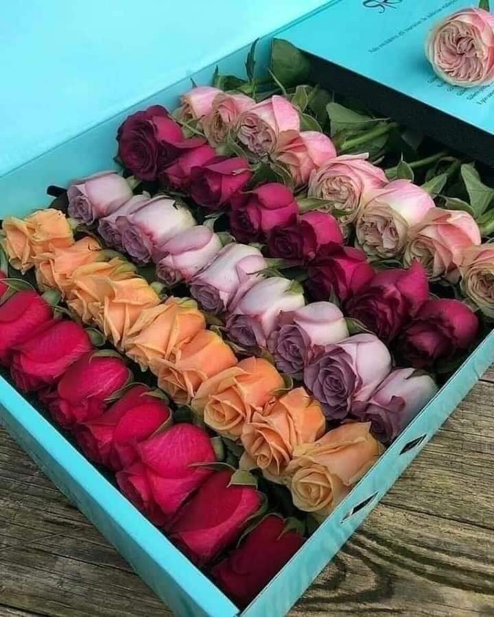 Box of Roses for you 💖