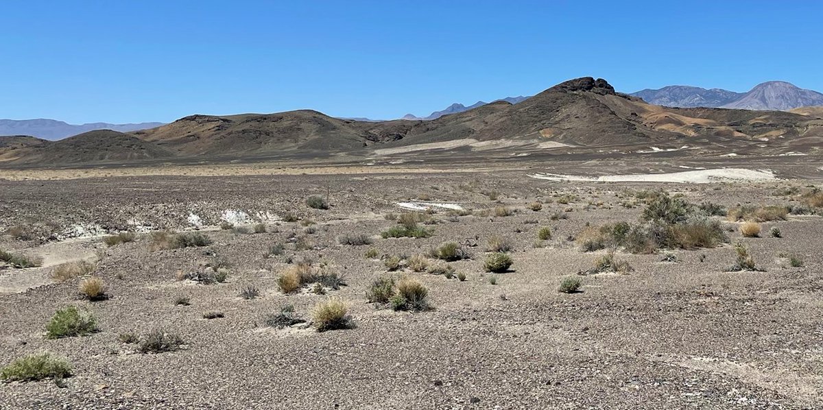 ResourceWorld's tweet photo. Cypress Development to Change Name to Century Lithium Corp - https://t.co/rDSgAPjQyj #ResourceWorld #resourceinvesting #miningnews #mining @Cypress_CYP #CypressDevelopment $CYP.v $CYDVF #lithium #BatteryMetals #Nevada https://t.co/sd9IbSVgaD