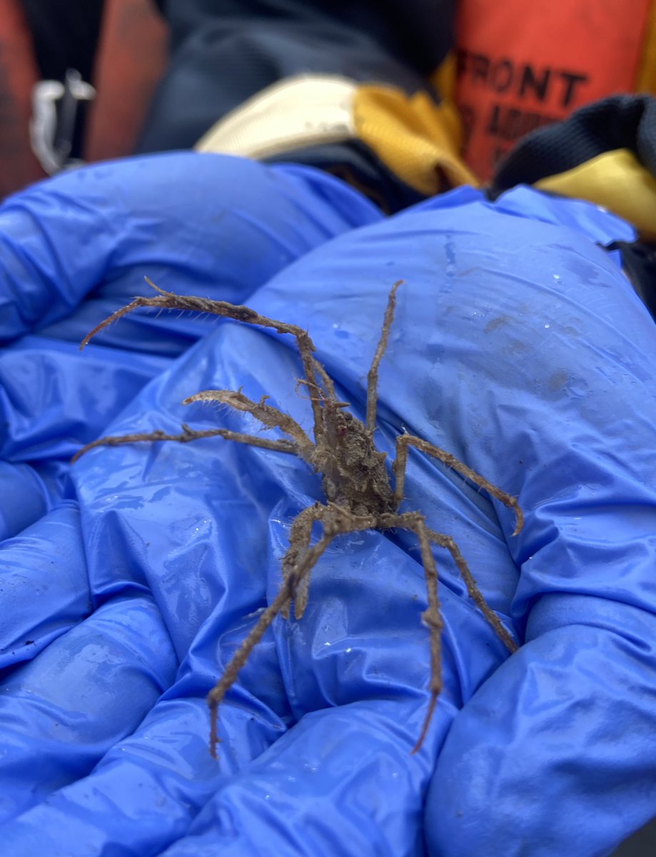 cody_enya's tweet photo. Appreciation post for the crew of the R.V Tom Crean and the @MarineInst. Thank you for the amazing experience and an unforgettable two days! 🛳🦀 @WeAreTUDublin @FSEH_TUDublin https://t.co/UlipUhpQkP