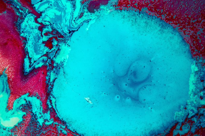 MSU DSAO tweet media