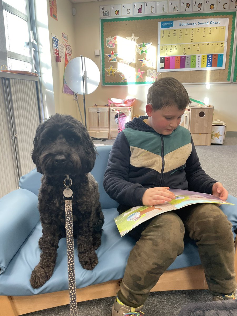 MissFlorenceCV's tweet photo. Another Ozzy session complete, as well as reading we discussed our emotions and played some games 🐾💙 https://t.co/fIwPnOA2dK