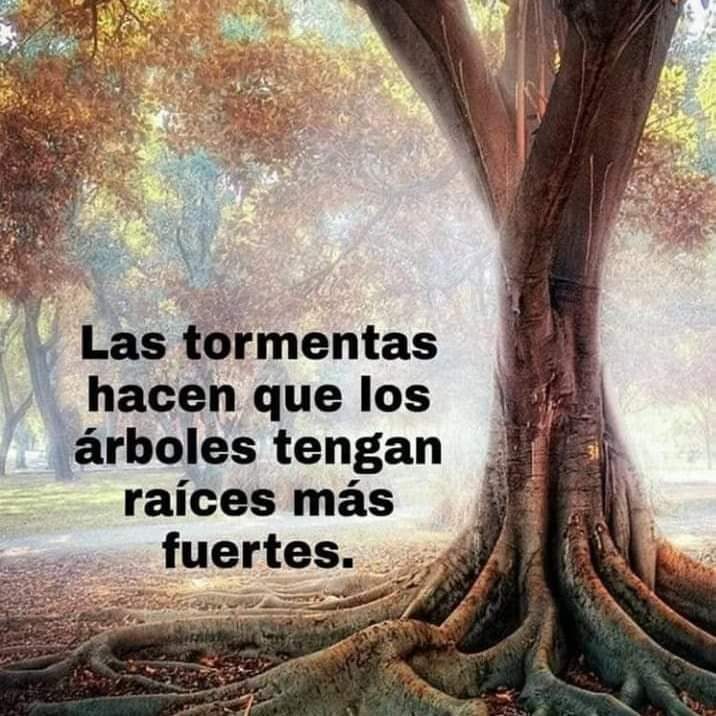 Motivosentuvida's tweet photo. Las tormentas hace que los árboles tengas raíces más fuertes! 🌳 https://t.co/zf4f0q1nIQ