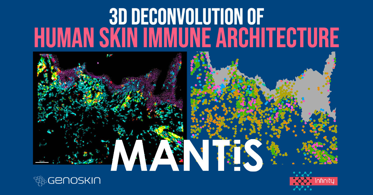 🔥 Very excited to announce the preprint of our #academic article on the MANTIS® #spatialbiology platform under the title: "3-D deconvolution of human skin #immune architecture with Multiplex Annotated Tissue Imaging System (MANTIS®)". 
bit.ly/3XO6xPA