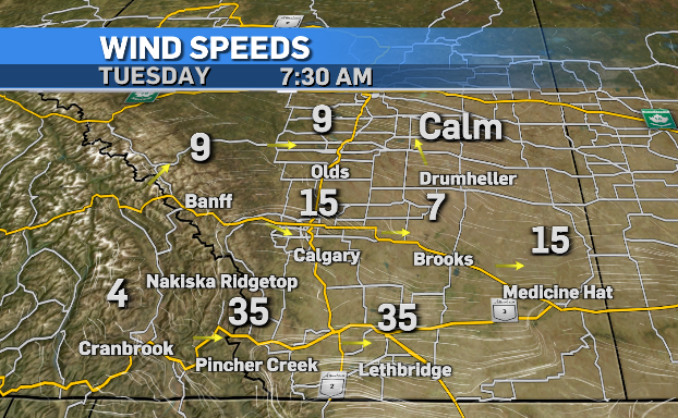 Ryan Harding tweet media