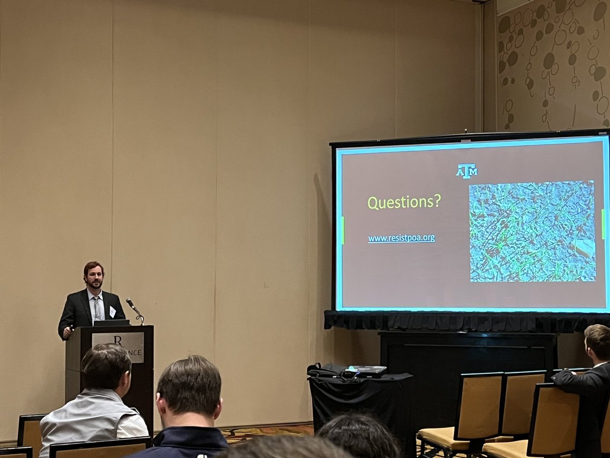 USDA-SCRI Annual Bluegrass Collective tweet media