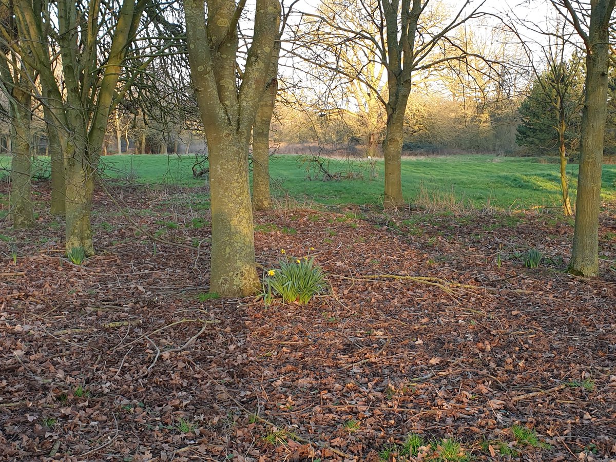 GorahDecking tweet media