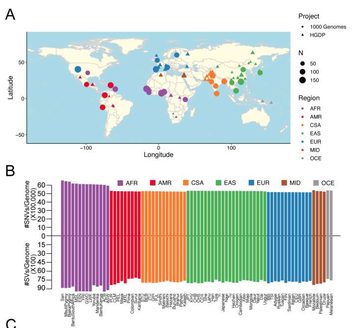 Looking for an easily accessible diverse set of genomes? We've got you! The HGDP+1kGP genomes have been jointly called and QC'd as part of gnomAD, complete with SNVs, indels, and SVs: biorxiv.org/content/10.110…. Fully public resource, tutorials included, feedback welcome!