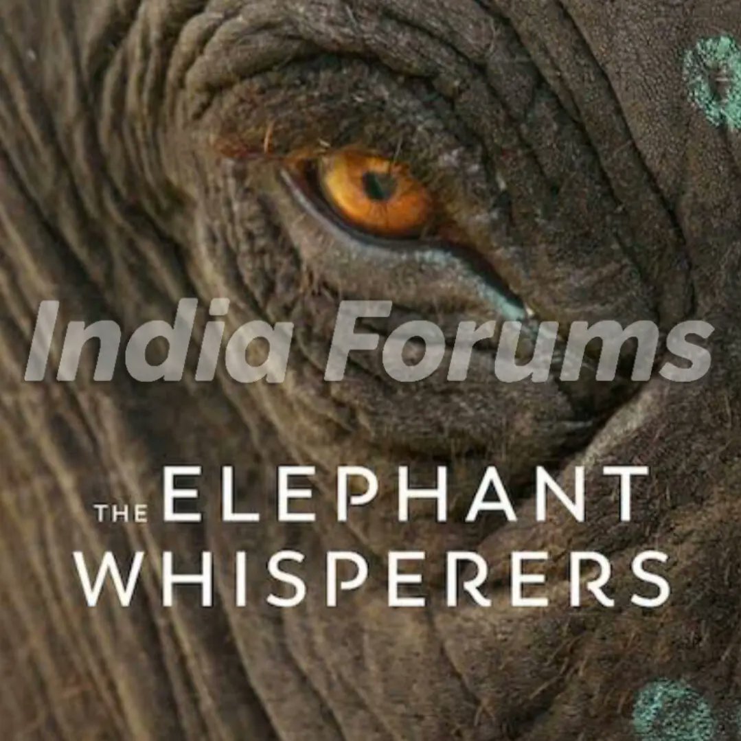 indiaforums's tweet photo. Congratulations!!
As #RRR scores a nomination at the #Oscars for #NaatuNaatu in the #bestoriginalsong category while #TheElephantWhisperers &amp; #AllThatBreathes scored in the #DocumentaryShortFilm &amp; #DocumentaryFeatureFilm category 

#RRRForOscars #NaatuNaatuForOscars @RRRMovie https://t.co/ubXdHwEk4R