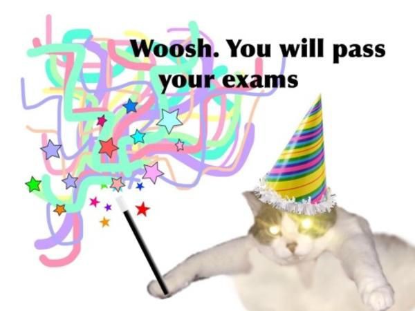 iam4jeno's tweet photo. this month's so been hectic :/ and tomorrow is the first day of my final exams and it has me anxious WELPPP https://t.co/yVL403Sebi