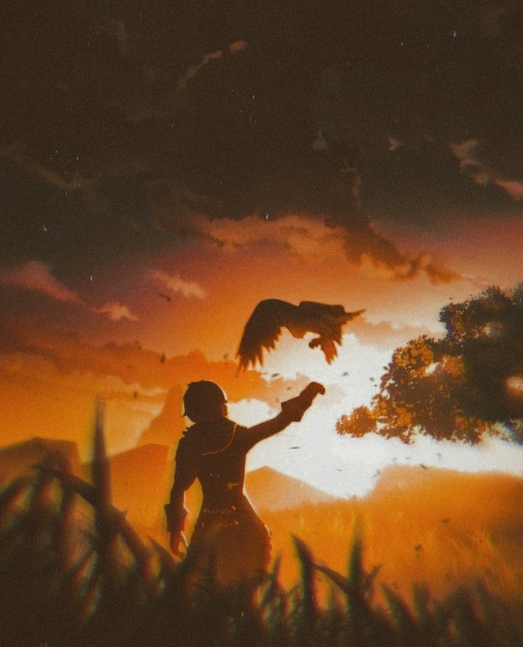 TEMPORAL PINNED 📌

     [♡ &amp; ↺]

   ——— 𝓓𝓲𝓵𝓾𝓬 𝓡𝓪𝓰𝓷𝓿𝓲𝓷𝓭𝓻 ———