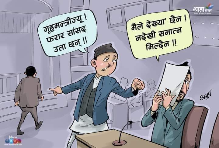 स्टन्ट