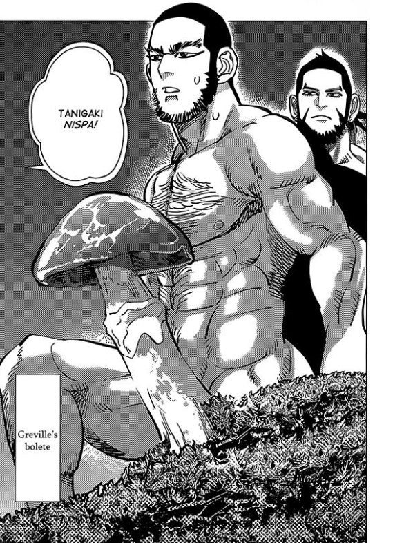 also I love tanigaki and his huge hairy breasts and heavy balls 